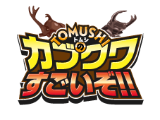 TOMUSHIのカブクワすごいぞ！滋賀県大津ふれあいの森